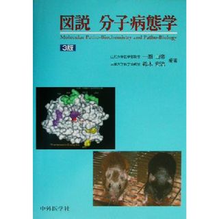 図説　分子病態学／一瀬白帝(著者),鈴木宏治(著者)(健康/医学)