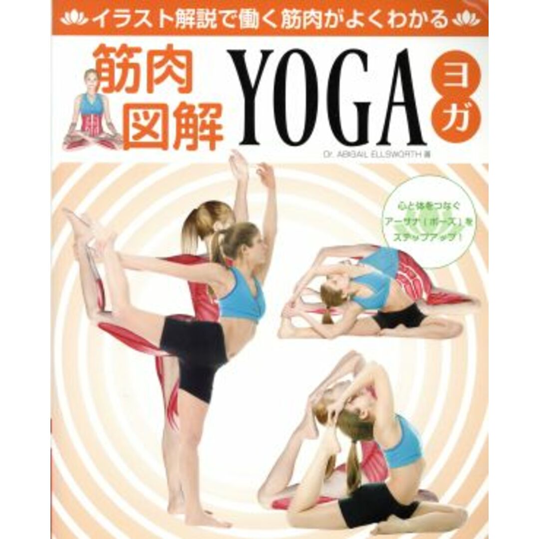 筋肉図解ＹＯＧＡ イラスト解説で働く筋肉がよくわかる ブティックムック／ブティック社 エンタメ/ホビーの本(ファッション/美容)の商品写真