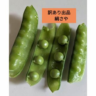 赤花絹さや（訳あり)　400グラム(野菜)