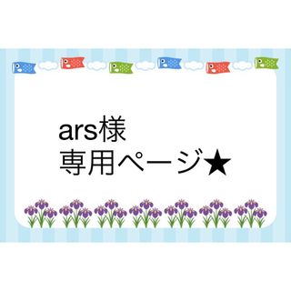 ars様専用ページ★(ステッカー)