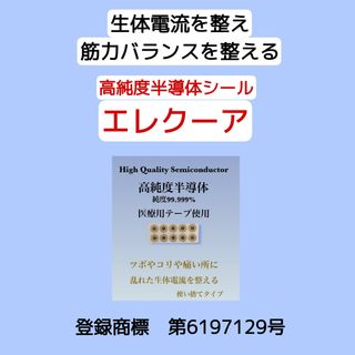 半導体パワーでツボ刺激！【しん健堂　エレクーア】(その他)