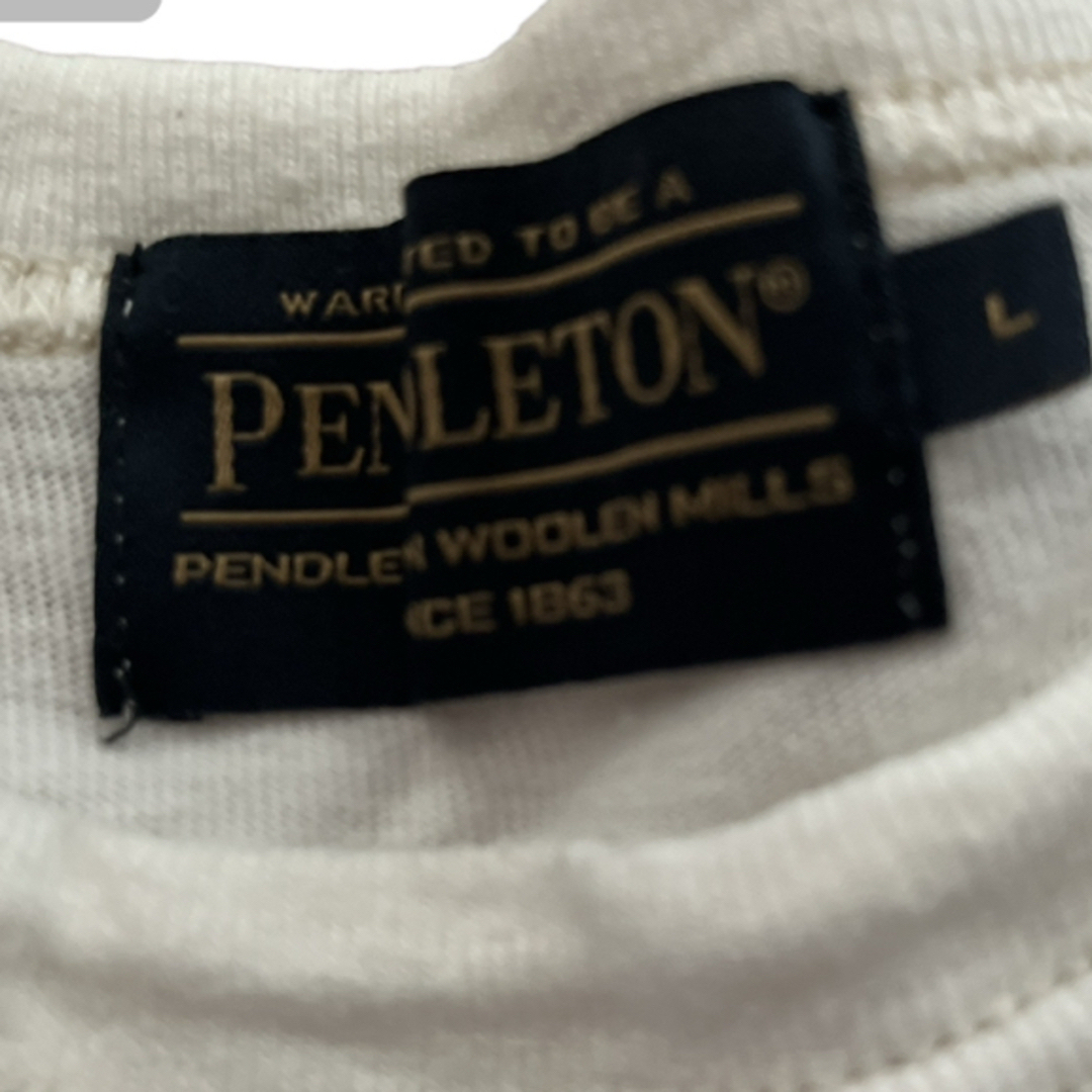 PENDLETON(ペンドルトン)のペンドルトン　Tシャツ　レディースLサイズ レディースのトップス(Tシャツ(半袖/袖なし))の商品写真