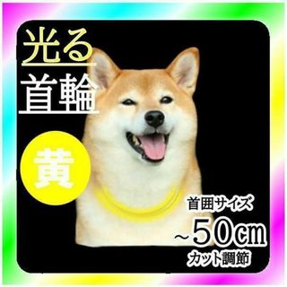 新品送料無料 ペット用 夜のお散歩 光る首輪 50㎝ イエロー(犬)