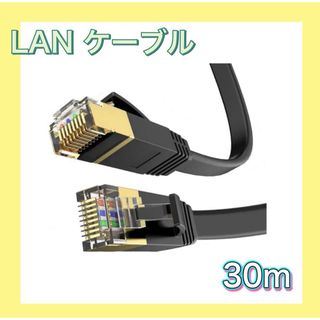 CAT6 LANケーブル 30m  有線 ランケーブル フラットタイプ