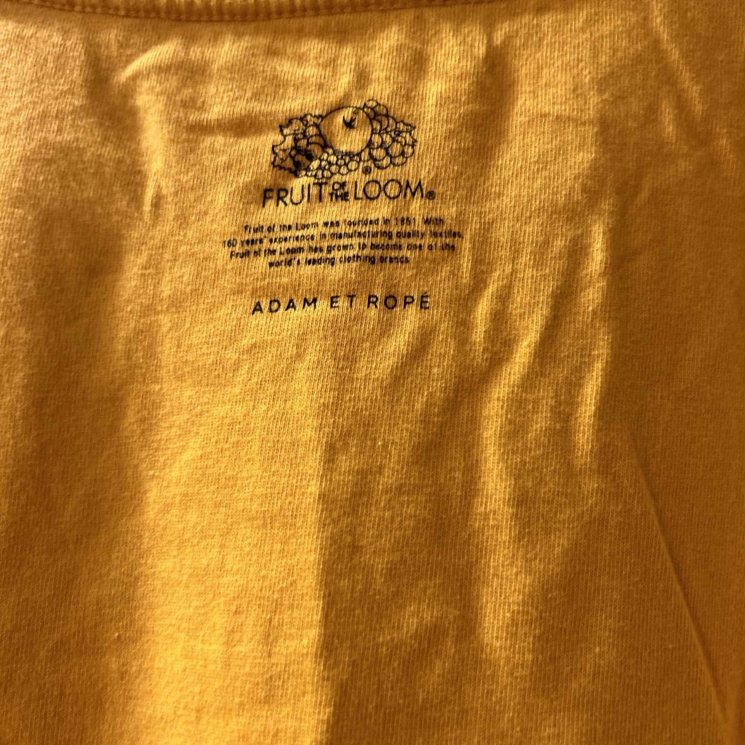 FRUIT OF THE LOOM(フルーツオブザルーム)のフルーツオブザルーム　Tシャツ　メンズ　M メンズのトップス(Tシャツ/カットソー(半袖/袖なし))の商品写真