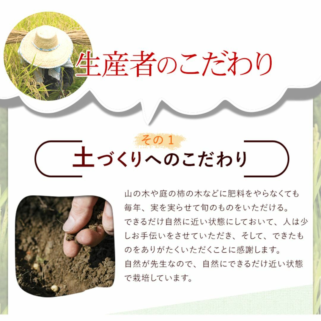 米 ミルキークイーン 玄米25kg又は白米約22.5kg 令和5年福井県産 食品/飲料/酒の食品(米/穀物)の商品写真