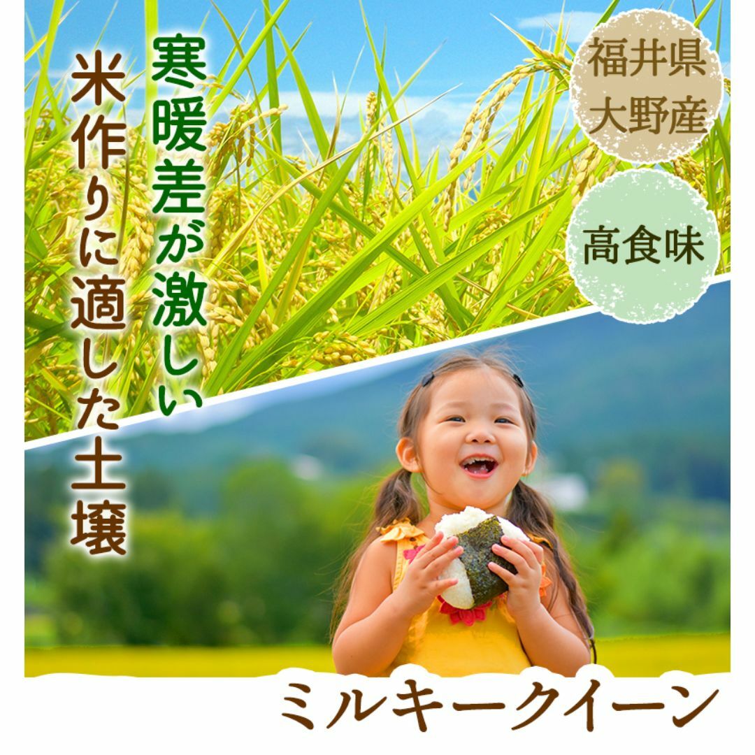 米 ミルキークイーン 玄米25kg又は白米約22.5kg 令和5年福井県産 食品/飲料/酒の食品(米/穀物)の商品写真