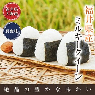 米 ミルキークイーン 玄米25kg又は白米約22.5kg 令和5年福井県産