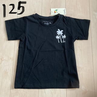 アーノルドパーマー(Arnold Palmer)の125  Tシャツ　ヤシの木(Tシャツ/カットソー)