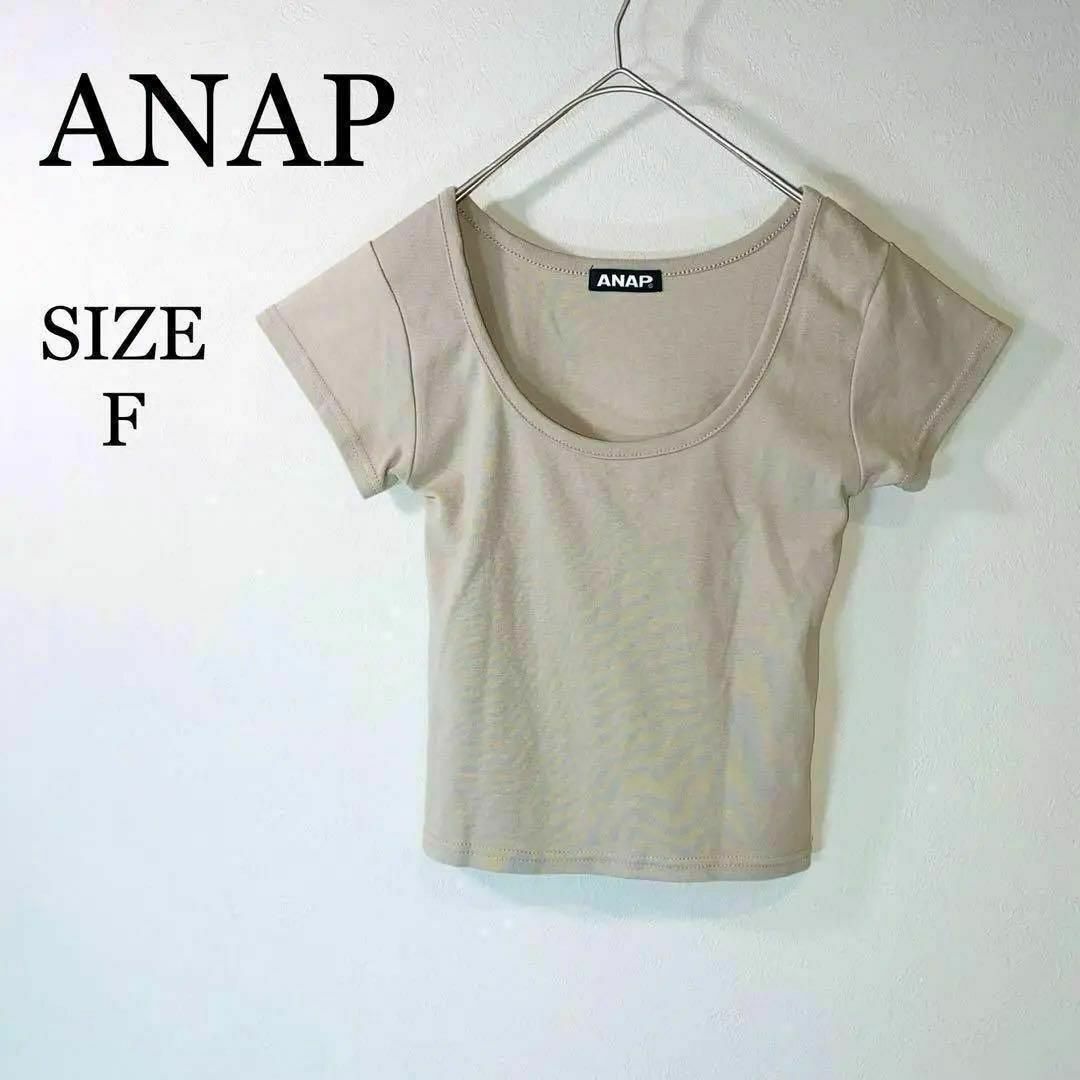 ANAP(アナップ)のANAP アナップ　Tシャツ　半袖　小さめ　無地　シンプル　シンプルコーデ　綿 レディースのトップス(Tシャツ(半袖/袖なし))の商品写真