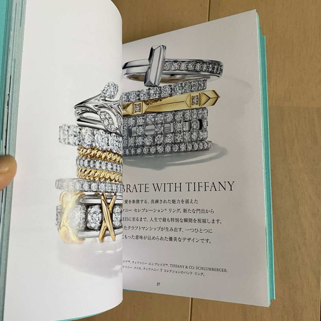 Tiffany & Co.(ティファニー)のティファニー Tiffany&Co. リングカタログ ショップ袋 レディースのバッグ(ショップ袋)の商品写真