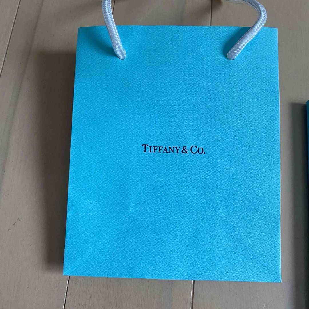Tiffany & Co.(ティファニー)のティファニー Tiffany&Co. リングカタログ ショップ袋 レディースのバッグ(ショップ袋)の商品写真