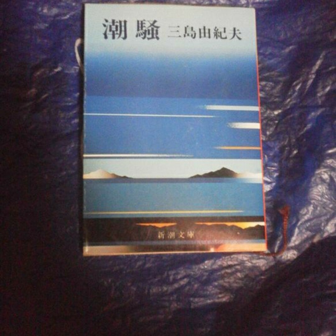 潮騒 エンタメ/ホビーの本(文学/小説)の商品写真