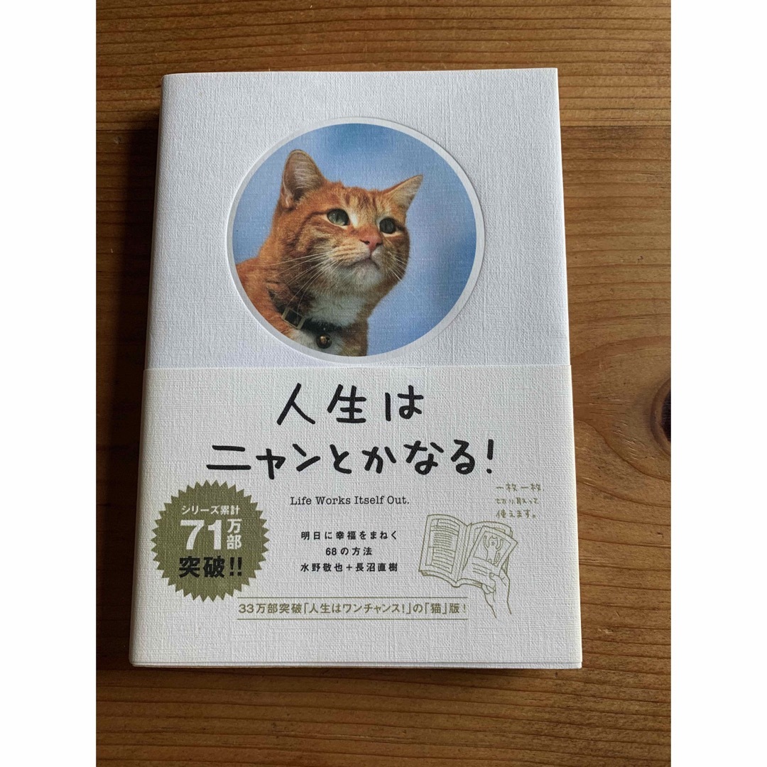 2冊セット　人生はニャンとかなる！まこという名の不思議顔の猫 エンタメ/ホビーの本(その他)の商品写真