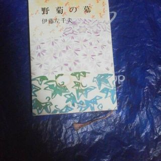 野菊の墓(文学/小説)