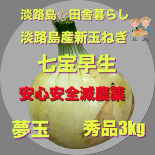 淡路島産新玉ねぎ 秀品 3kg 七宝早生 減農薬 甘い 農家直送 夢玉 (野菜)