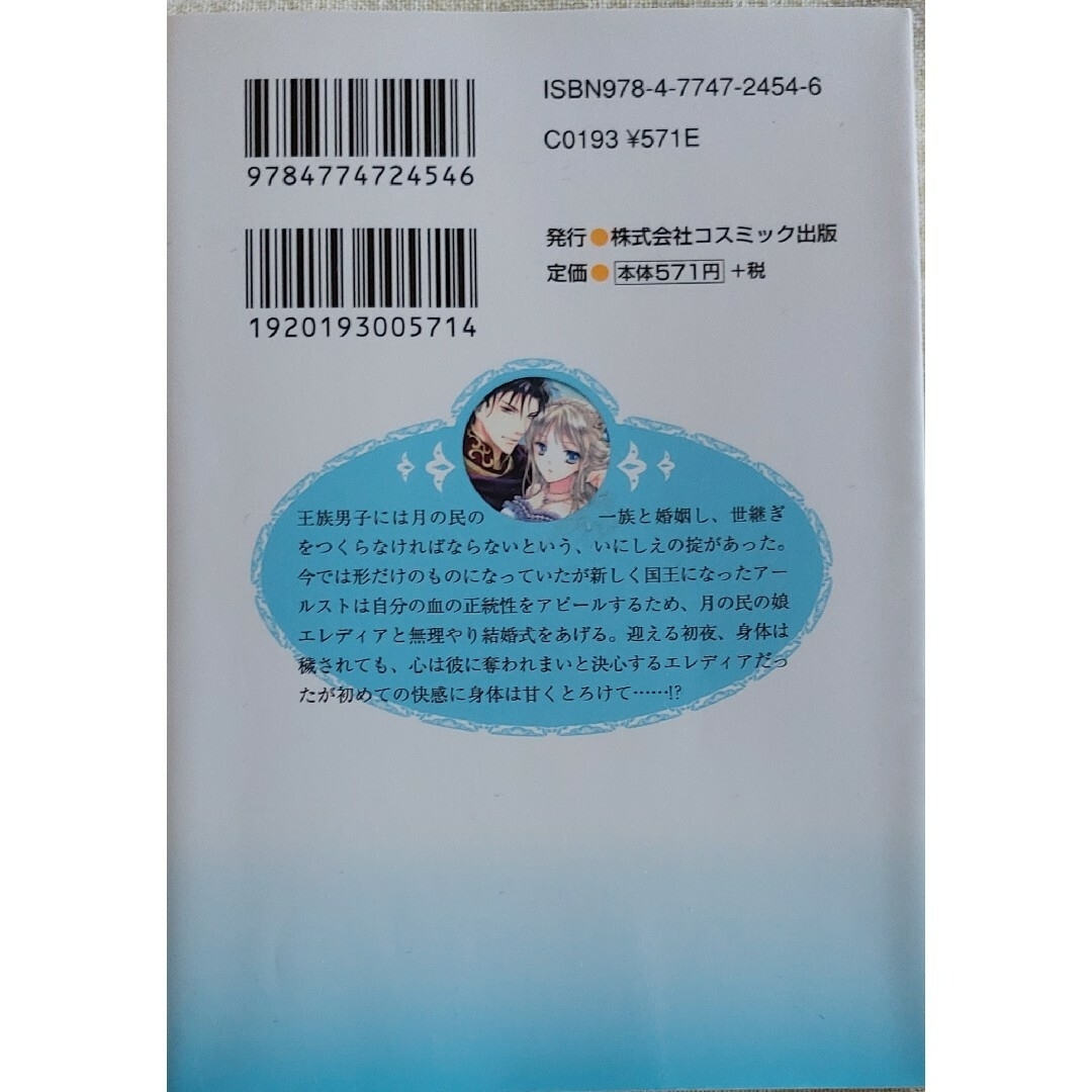 TL小説 水島忍3冊セット エンタメ/ホビーの本(その他)の商品写真