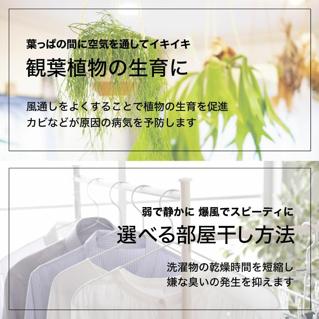 ボルネード サーキュレーター 533DC-JP-P (533DC-JP) スマホ/家電/カメラの冷暖房/空調(その他)の商品写真