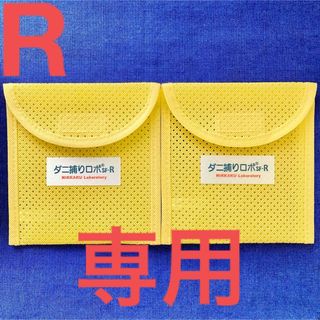 専用☆Rケース2個(日用品/生活雑貨)