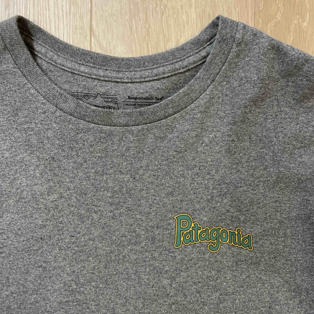 patagonia(パタゴニア)のパタゴニア　ロングスリーブ　レスポンシビリティー　メンズMサイズ　 メンズのトップス(Tシャツ/カットソー(七分/長袖))の商品写真