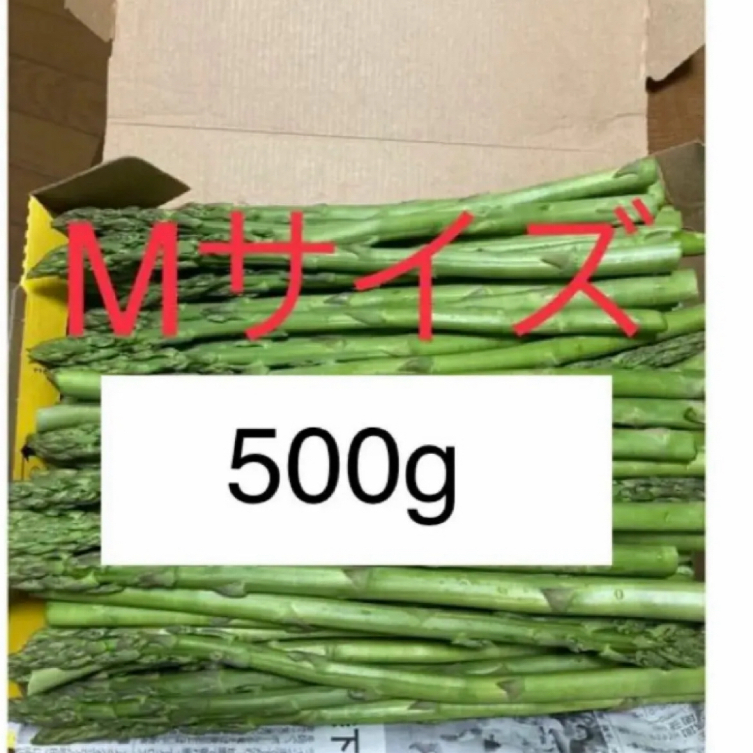 アスパラ　Ｍサイズ500g 食品/飲料/酒の食品(野菜)の商品写真