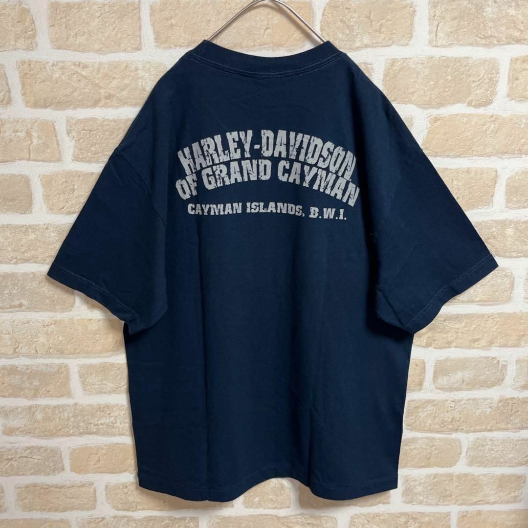 Harley Davidson(ハーレーダビッドソン)のHARLEY DAVIDSON Tシャツ スカル ネイビー ポケット L メンズのトップス(Tシャツ/カットソー(半袖/袖なし))の商品写真