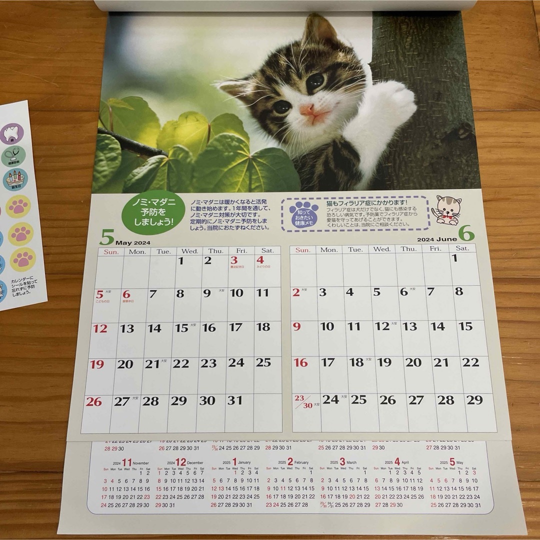 2024年5月始まりカレンダー　猫 インテリア/住まい/日用品の文房具(カレンダー/スケジュール)の商品写真