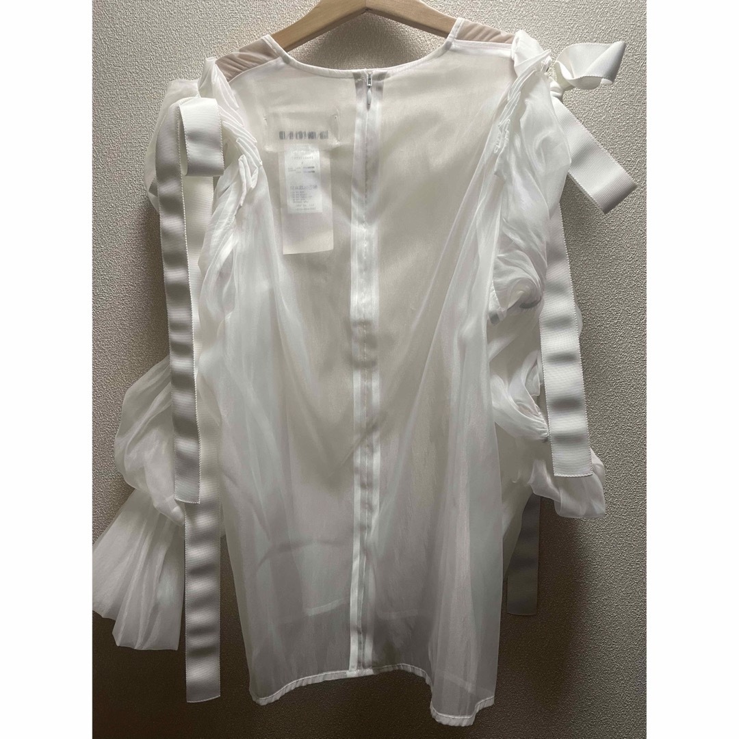 HAENGNAE  omochi sheer top  レディースのトップス(その他)の商品写真