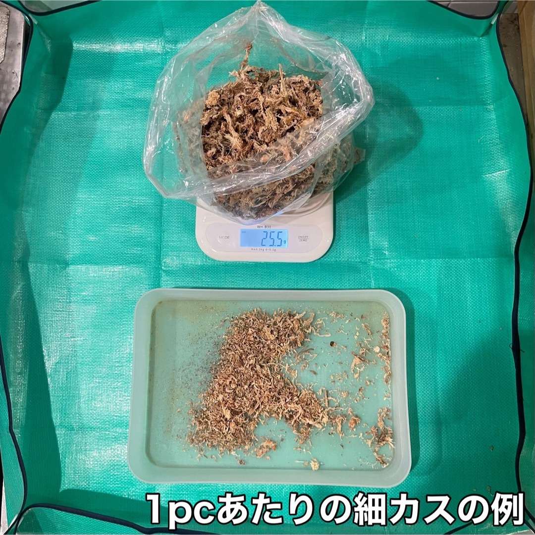 天然水苔 ミズゴケ 水ごけ 乾燥水苔 チリ産 Ｓクラス 25g×2pcs ハンドメイドのフラワー/ガーデン(その他)の商品写真