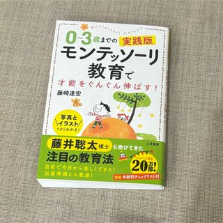 ０～３歳までの実践版モンテッソーリ教育で才能をぐんぐん伸ばす！(人文/社会)