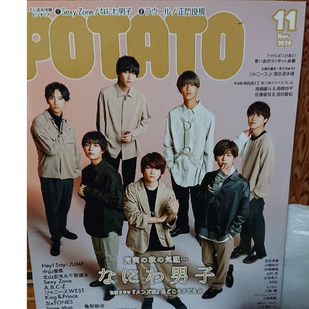 POTATO (ポテト) 2020年 11月号 [雑誌] エンタメ/ホビーの雑誌(その他)の商品写真