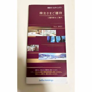 西武　株主優待券　共通割引券1000円×9枚　含む(その他)