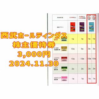 西武ホールディングス 株主優待券 3000円 2024.11.30(遊園地/テーマパーク)