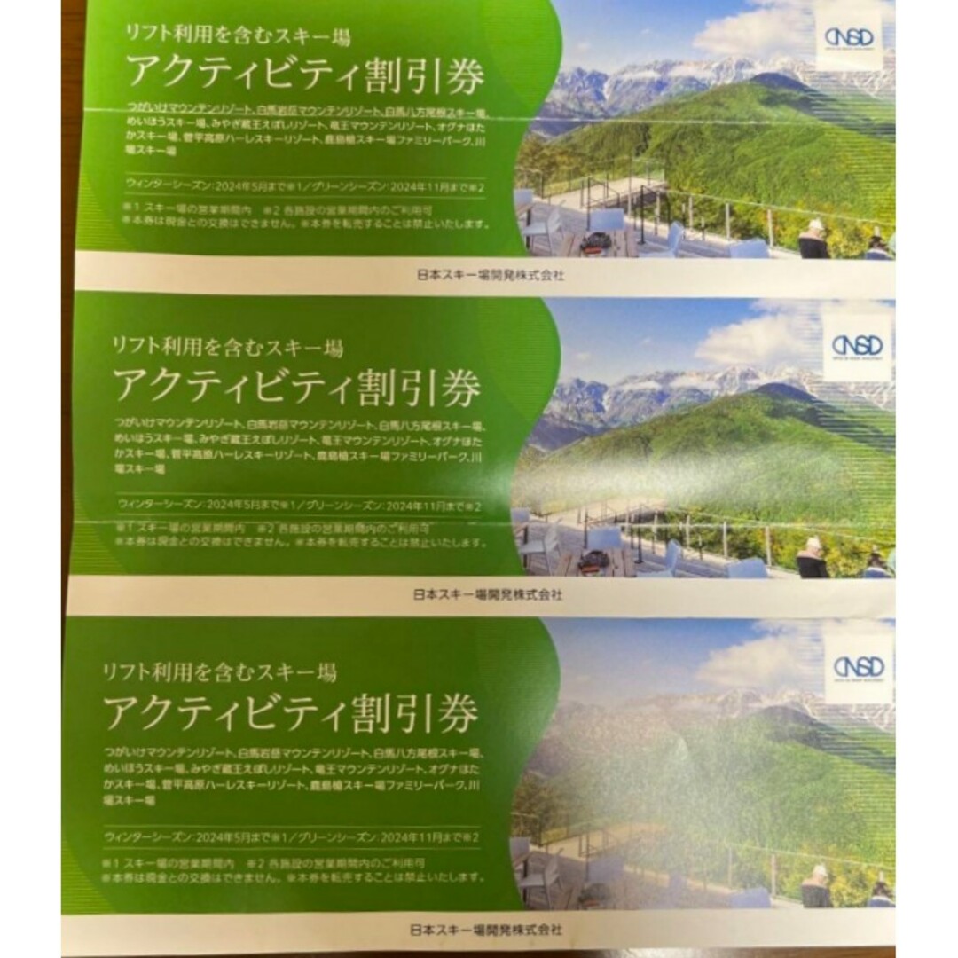 日本駐車場開発　最新　株主優待　アクティビティ割引券　3枚 チケットの施設利用券(スキー場)の商品写真