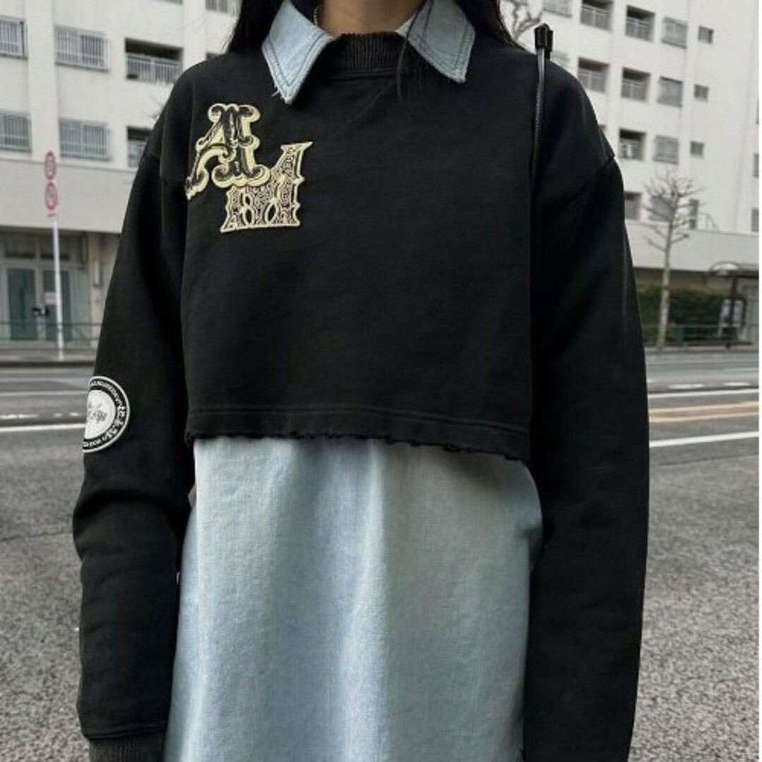 Ameri VINTAGE(アメリヴィンテージ)のAmeriVINTAGE  WAPPEN SWEAT TOP レディースのトップス(トレーナー/スウェット)の商品写真