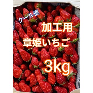 加工品用 章姫いちご 3kg  クール便   ※最終段階になります。(フルーツ)