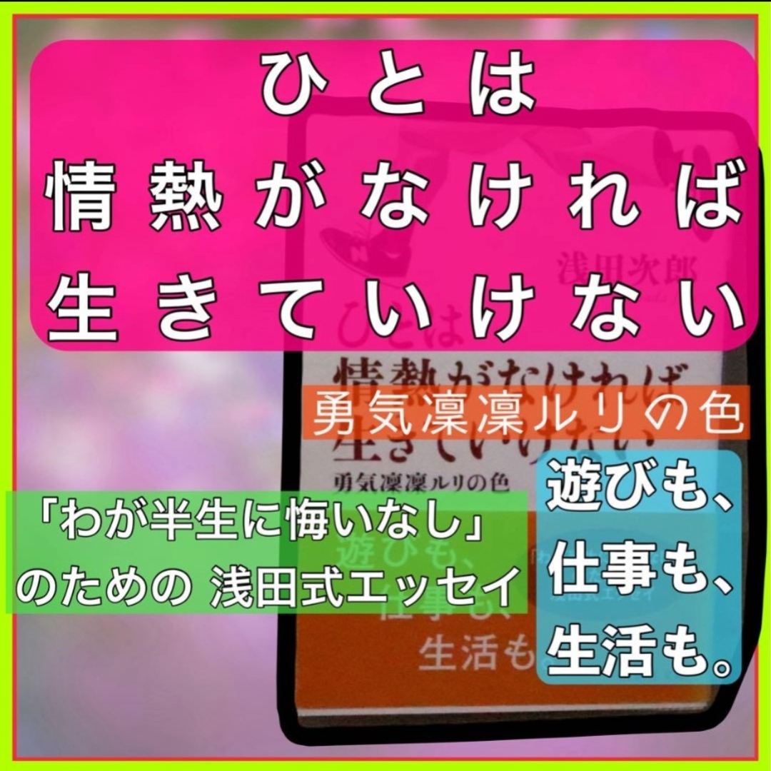 ひとは情熱がなければ生きていけない 勇気凜凜ルリの色 エンタメ/ホビーの本(人文/社会)の商品写真