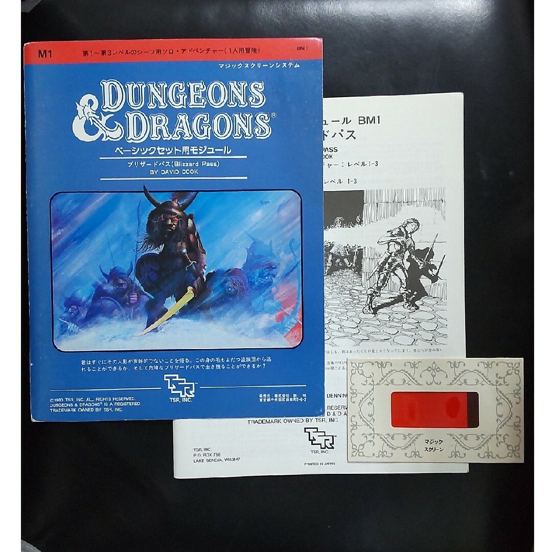 ダンジョンズ&ドラゴンズ  D&D ブリザードパス エンタメ/ホビーのテーブルゲーム/ホビー(その他)の商品写真