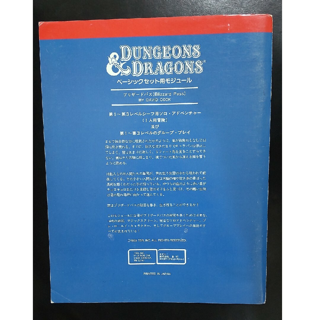 ダンジョンズ&ドラゴンズ  D&D ブリザードパス エンタメ/ホビーのテーブルゲーム/ホビー(その他)の商品写真