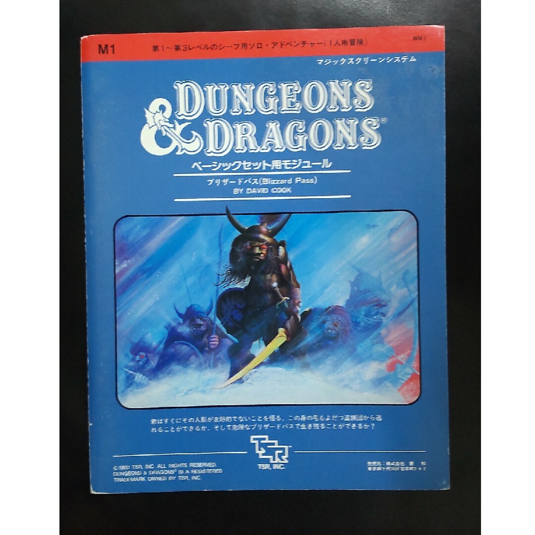 ダンジョンズ&ドラゴンズ  D&D ブリザードパス エンタメ/ホビーのテーブルゲーム/ホビー(その他)の商品写真