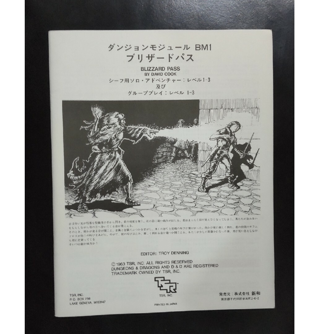 ダンジョンズ&ドラゴンズ  D&D ブリザードパス エンタメ/ホビーのテーブルゲーム/ホビー(その他)の商品写真