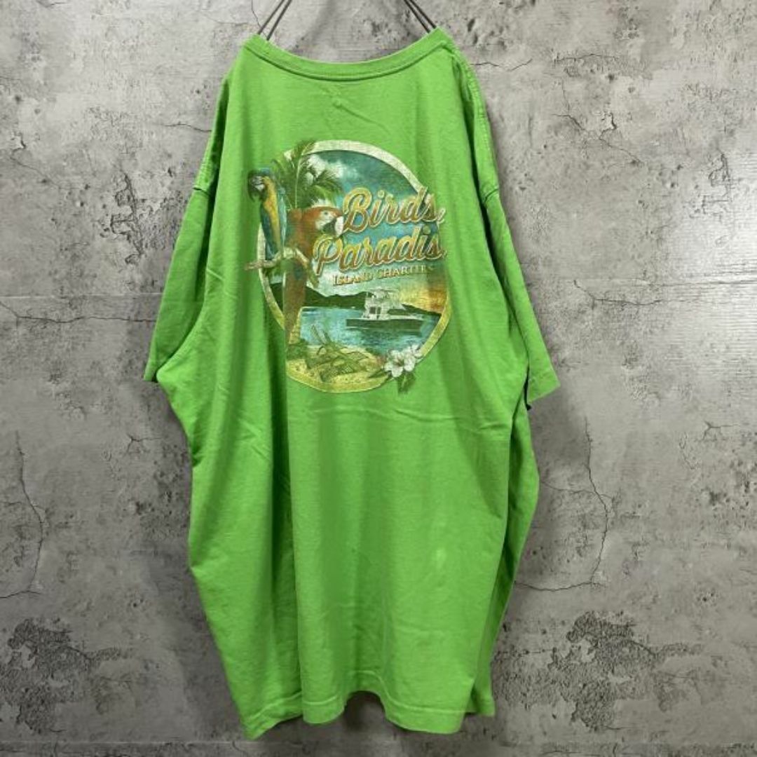 レア ISLAND オウム アースカラー バックプリント ビック Tシャツ メンズのトップス(Tシャツ/カットソー(半袖/袖なし))の商品写真