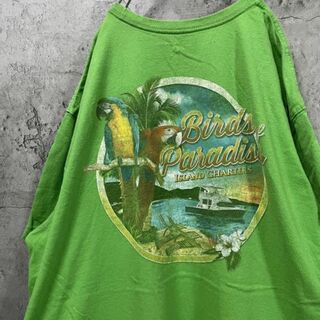 レア ISLAND オウム アースカラー バックプリント ビック Tシャツ(Tシャツ/カットソー(半袖/袖なし))