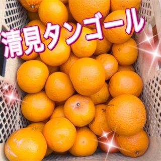 清見オレンジ　【低農薬】　木なり完熟　秀品分　1キロ　別格で甘い(フルーツ)