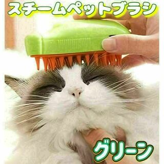 キャット スチームブラシ　グリーン USB充電 マッサージ 犬　猫　用(猫)