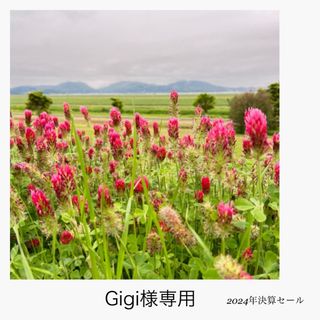 『Gigi様専用』天然アクアマリン　ルース　0.197ct(その他)