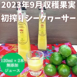 初搾り 沖縄産 青切り シークワーサー 120ml x 2本 お土産 ジュース(ソフトドリンク)