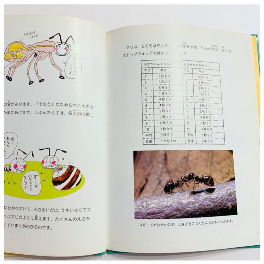 クロクサアリのひみつ エンタメ/ホビーの本(絵本/児童書)の商品写真