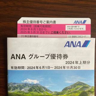 エーエヌエー(ゼンニッポンクウユ)(ANA(全日本空輸))のANA 株主優待 1枚 グループ優待券 1冊(その他)