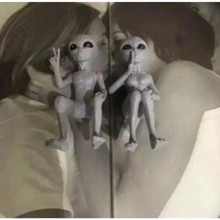 宇宙人 フィギュア 男 女 2個セット UFO グレイ 人形 置物 エイリアン(置物)